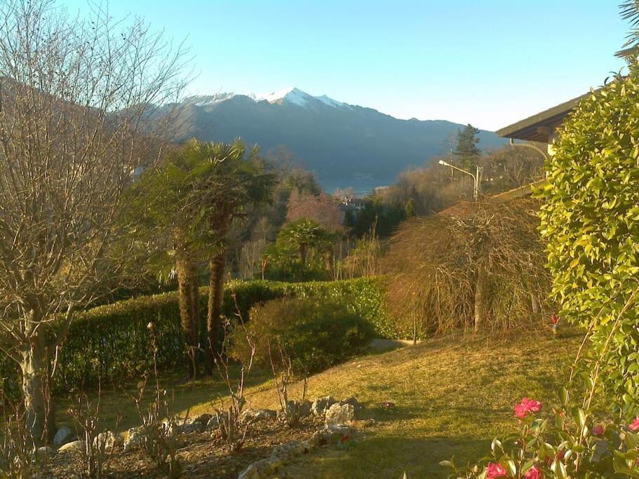 La Tua Villa Sul Lago - Casa Kollegger Luino Zewnętrze zdjęcie