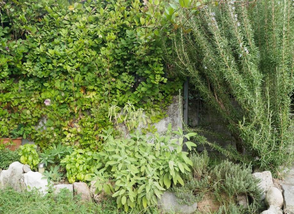 La Tua Villa Sul Lago - Casa Kollegger Luino Zewnętrze zdjęcie